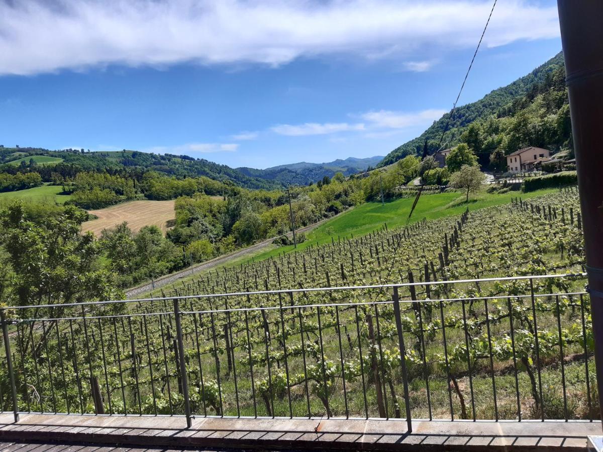 Agriturismo Pedrosola Brisighella Exteriér fotografie