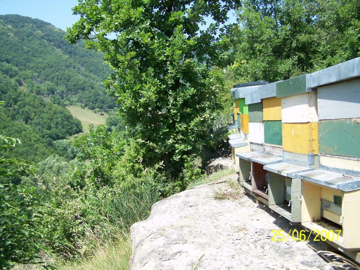 Agriturismo Pedrosola Brisighella Exteriér fotografie